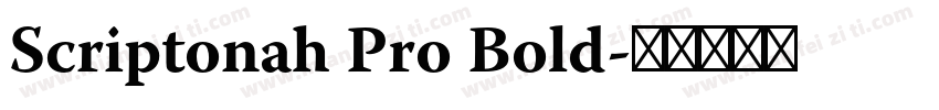 Scriptonah Pro Bold字体转换